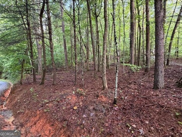 0 Peach LN Ellijay GA 30536