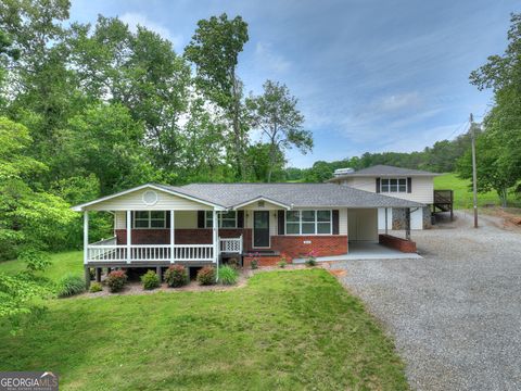 868 Sugar Creek RD Blue Ridge GA 30513