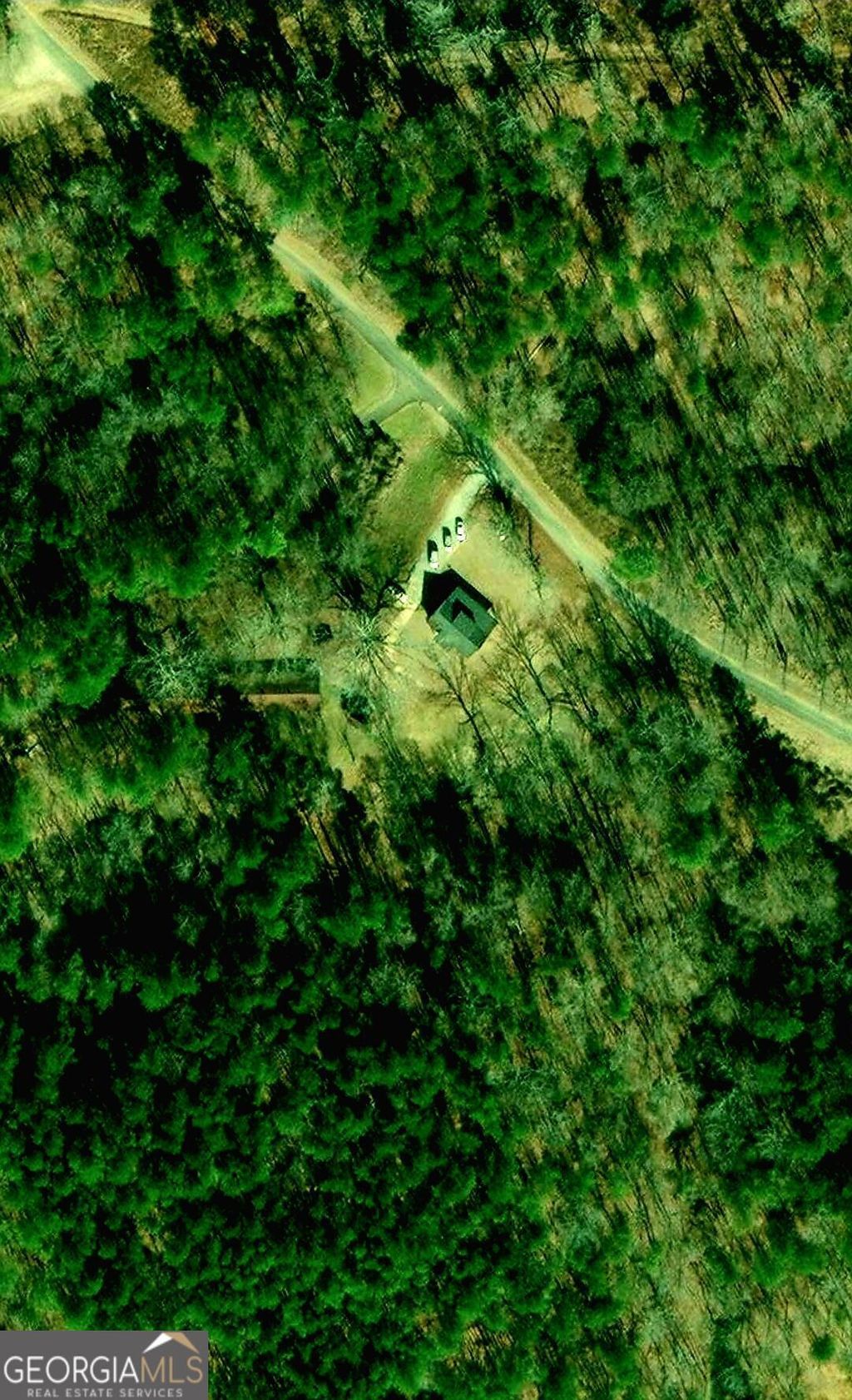 Photo of 1063 Damascus Road, Ball Ground, GA 30107 (MLS # 10706861)