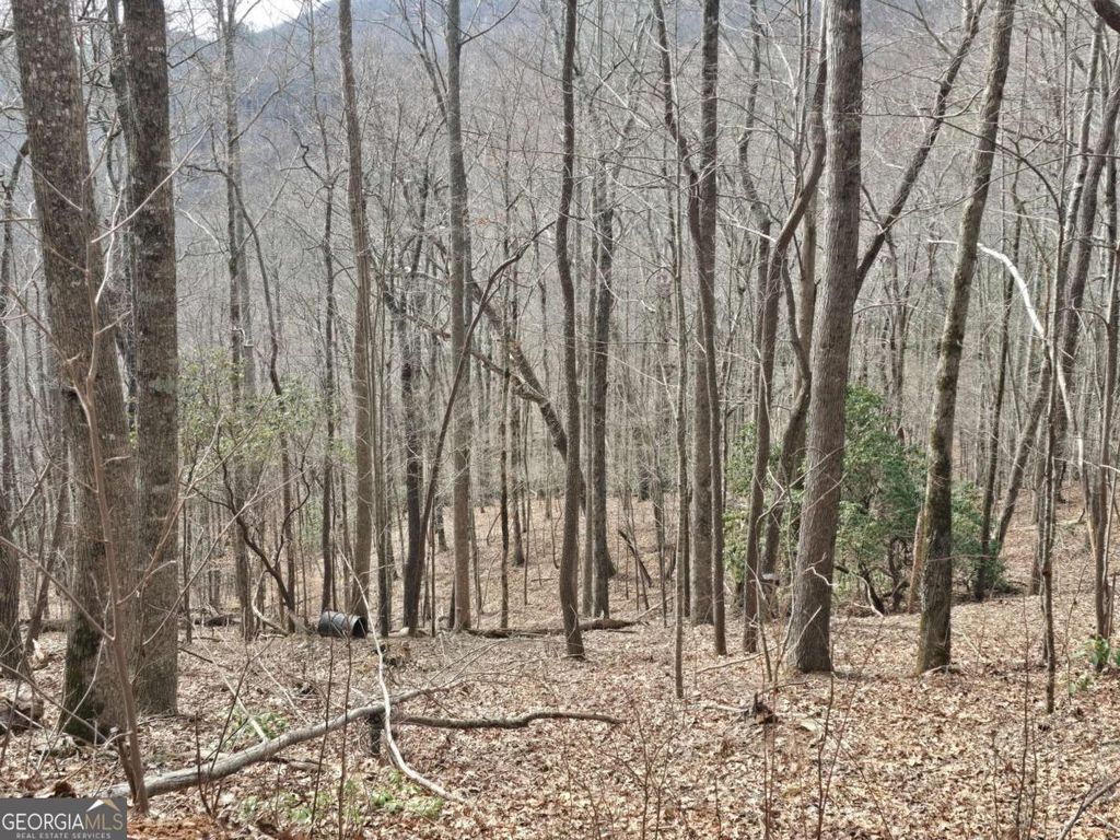 Photo of 1375 Caesar Gap Road, Hiawassee, GA 30546 (MLS # 10693964)