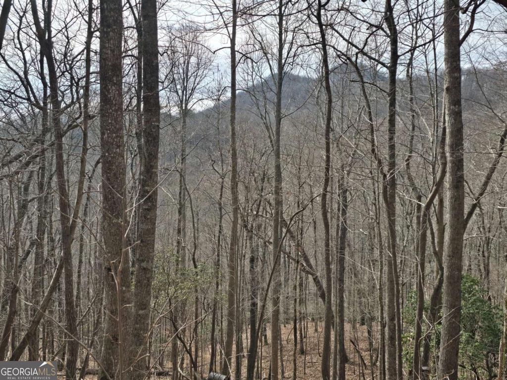 Photo of 1375 Caesar Gap Road, Hiawassee, GA 30546 (MLS # 10693964)