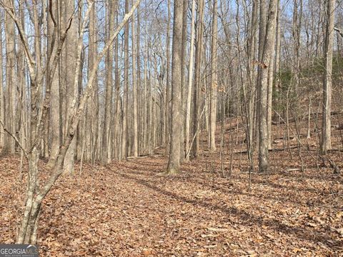 13.75 AC Caesar Gap RD Hiawassee GA 30546