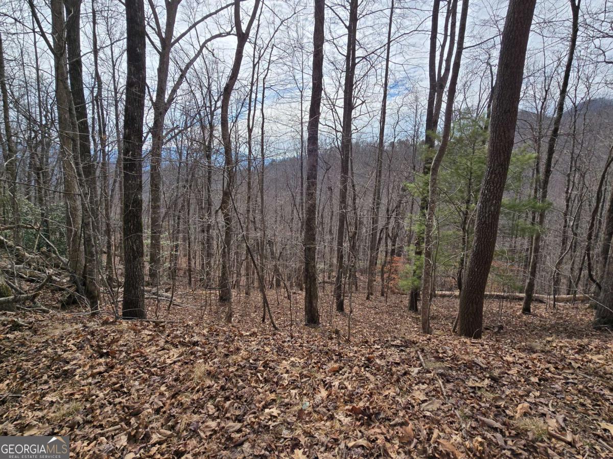 13.75 AC Caesar Gap RD