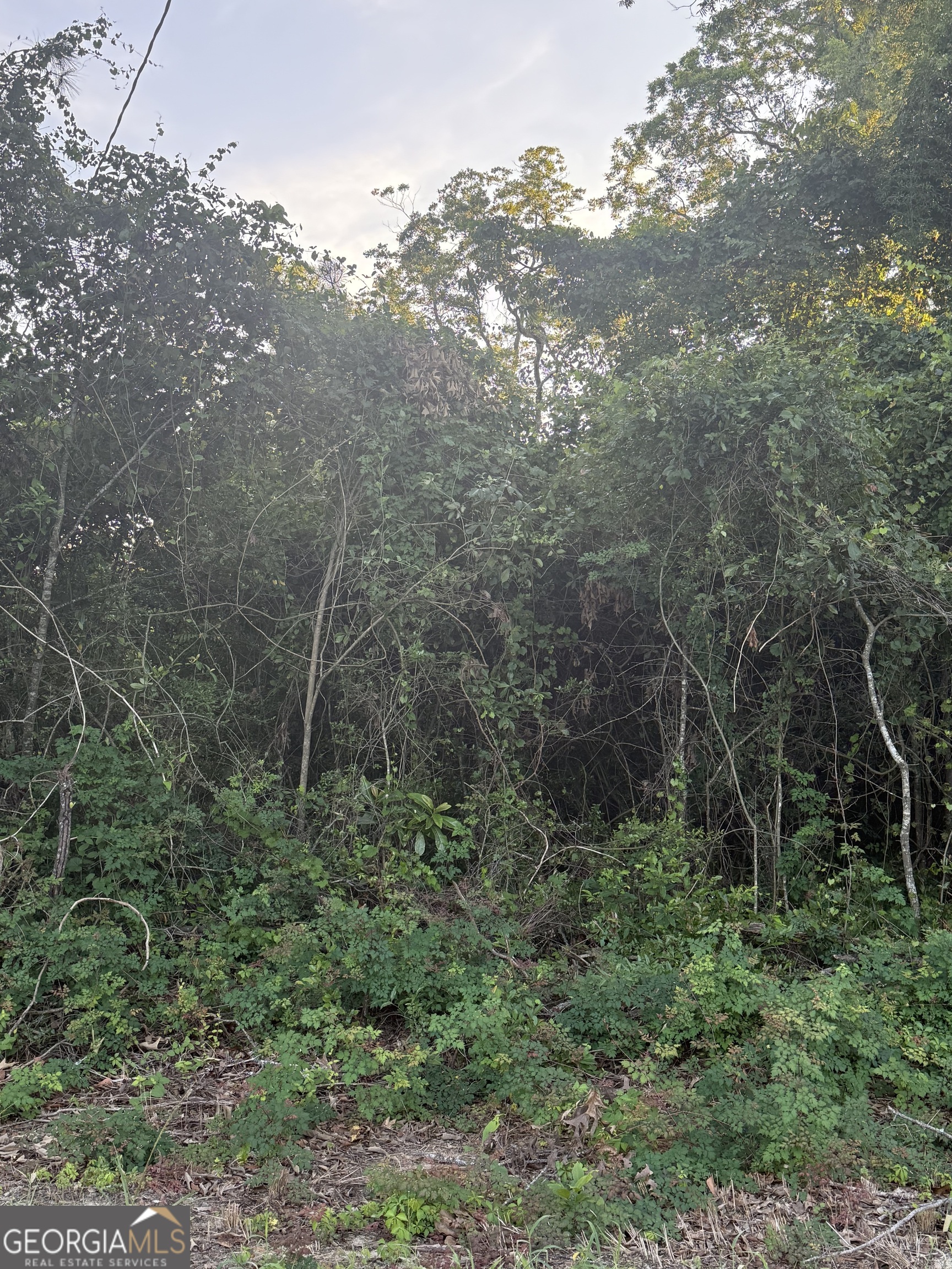 Incredible Opportunity - 6.60 Acres of Prime Land! Take advantage of this rare opportunity to own 6.60 acres of versatile land with unlimited potential! Whether you're looking to build your dream home, start a farm, develop an investment property, or secure land for future growth, this property offers the space and flexibility you need. Buyer is responsible for verifying all potential uses of interest. Don't miss out on this awesome piece of land - opportunities like this don't come around often!