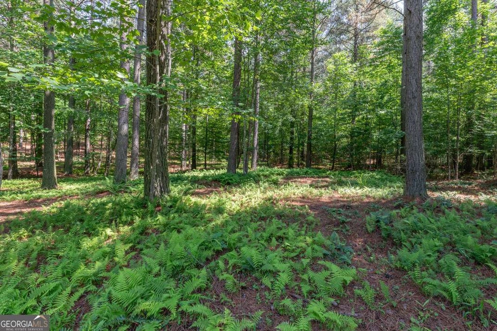 Photo of 48 Thirteen Hundred, Blairsville, GA 30512 (MLS # 10783903)