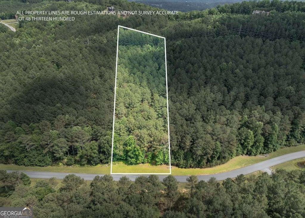 Photo of 48 Thirteen Hundred, Blairsville, GA 30512 (MLS # 10783903)