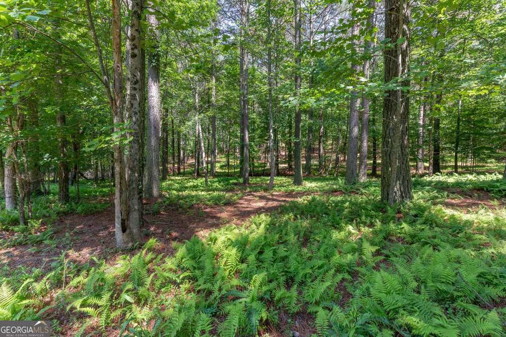 Photo of 48 Thirteen Hundred, Blairsville, GA 30512 (MLS # 10783903)