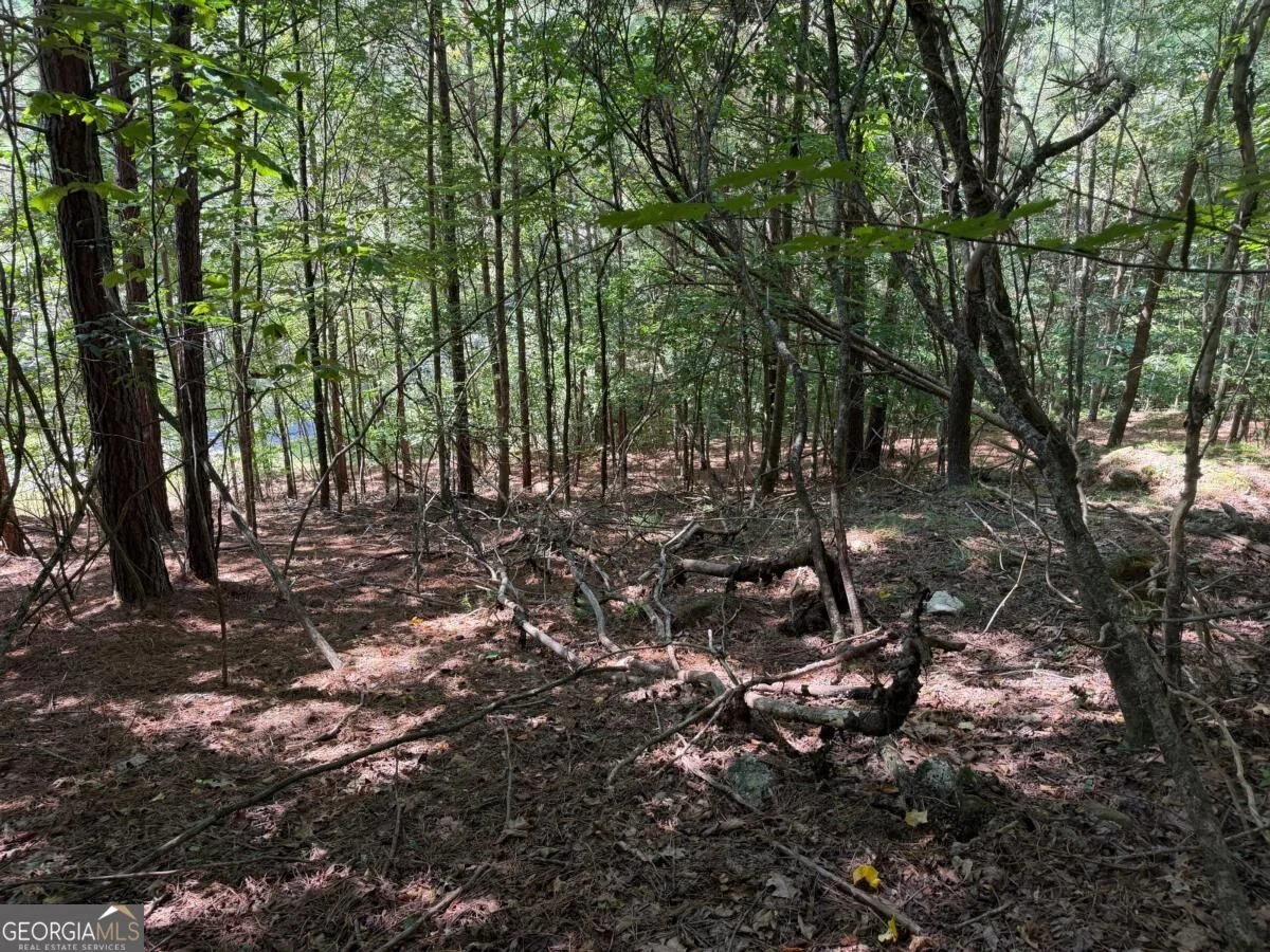 LOT 25 Trailwood Drive, Blairsville, GA, 30512