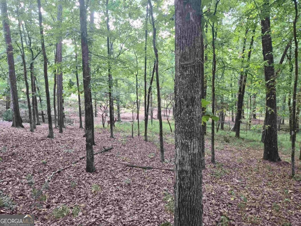 Photo of 1100 Centennial Post, Greensboro, GA 30642 (MLS # 10850085)