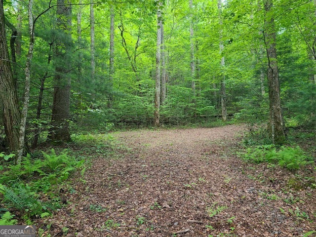 0 Big Creek RD