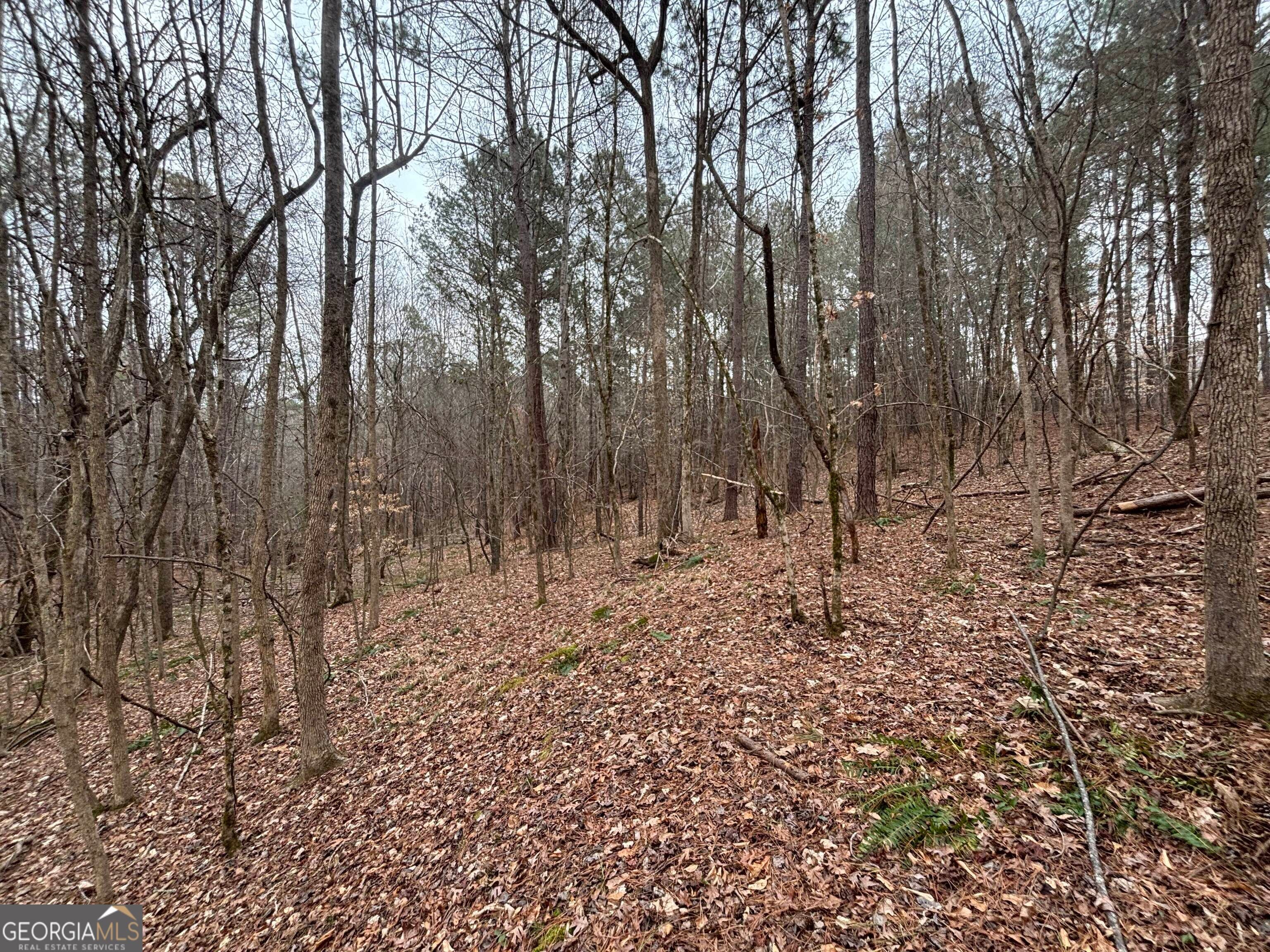0 Oconee RD LOT 3