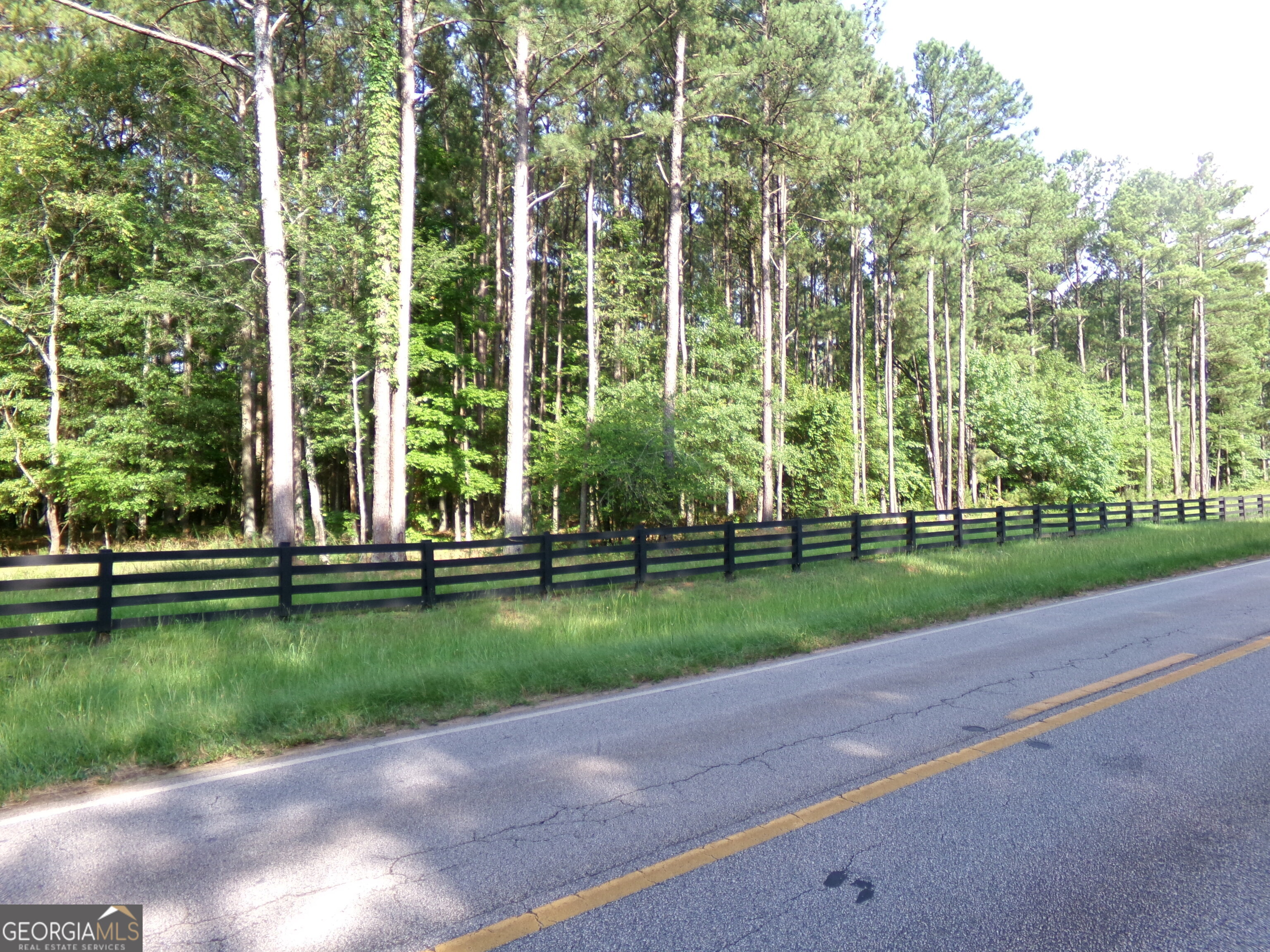 +/- 35 ACRES Youth Jersey RD