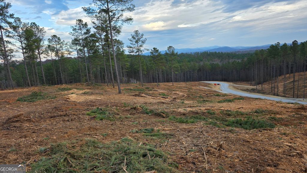 Photo of 103 Springfield Parkway, Ellijay, GA 30540 (MLS # 10682247)