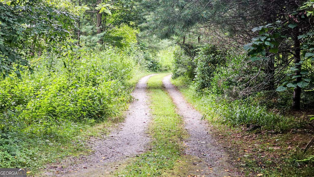 Photo of 0 River Run North, Clayton, GA 30525 (MLS # 10820021)