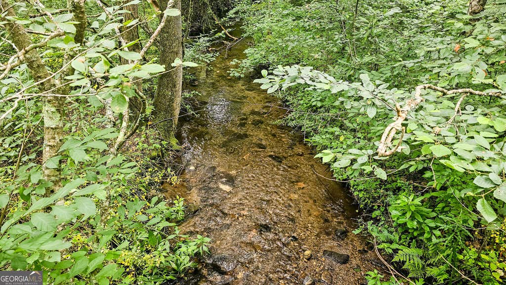 Photo of 0 River Run North, Clayton, GA 30525 (MLS # 10820021)