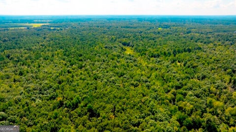 Photo of 3480 Highway 56 N, Waynesboro, GA 30830 (MLS # 10841904)
