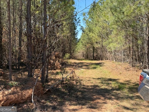 Photo of 0 County Road 79, Wadley, AL 36276 (MLS # 10871105)