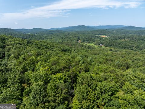 A home in Blue Ridge