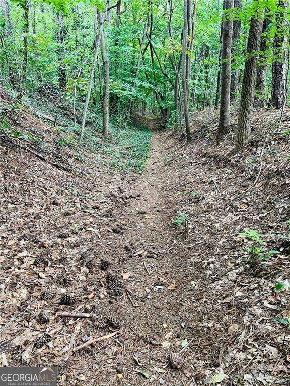 Terrell Mill Estates - Residential