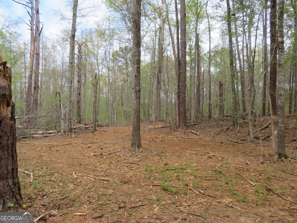 Photo of 0 Oak Road, Jenkinsburg, GA 30234 (MLS # 10726452)