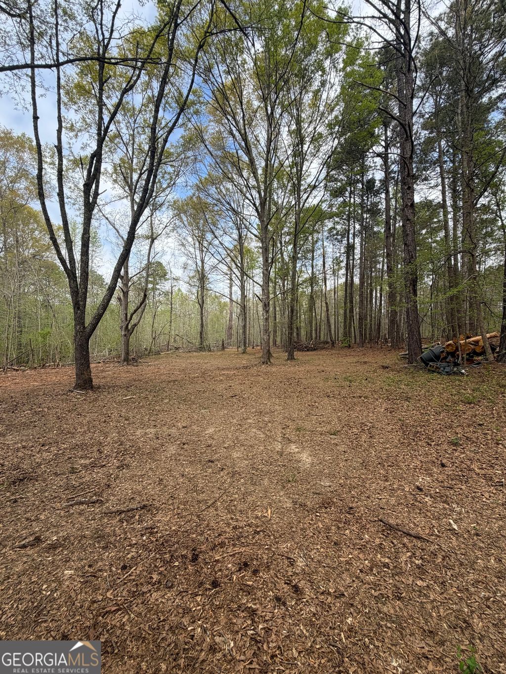 Photo of 0 Oak Road, Jenkinsburg, GA 30234 (MLS # 10726452)