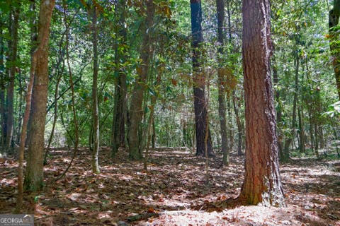 Photo of 232 Crane Road, Cochran, GA 31014 (MLS # 10787823)