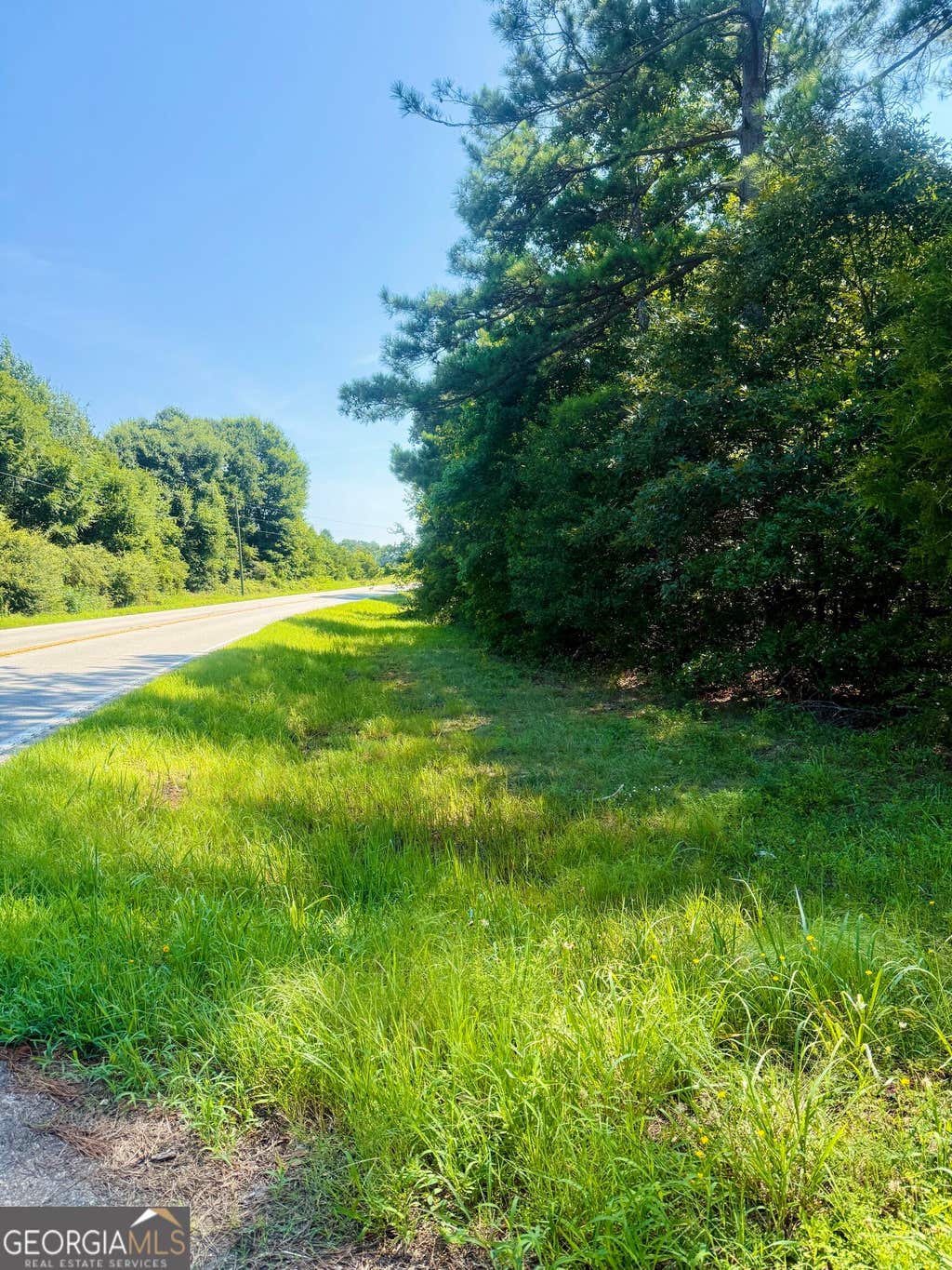 Photo of 0 Anderson HWY, Elberton, GA 30635 (MLS # 10827446)
