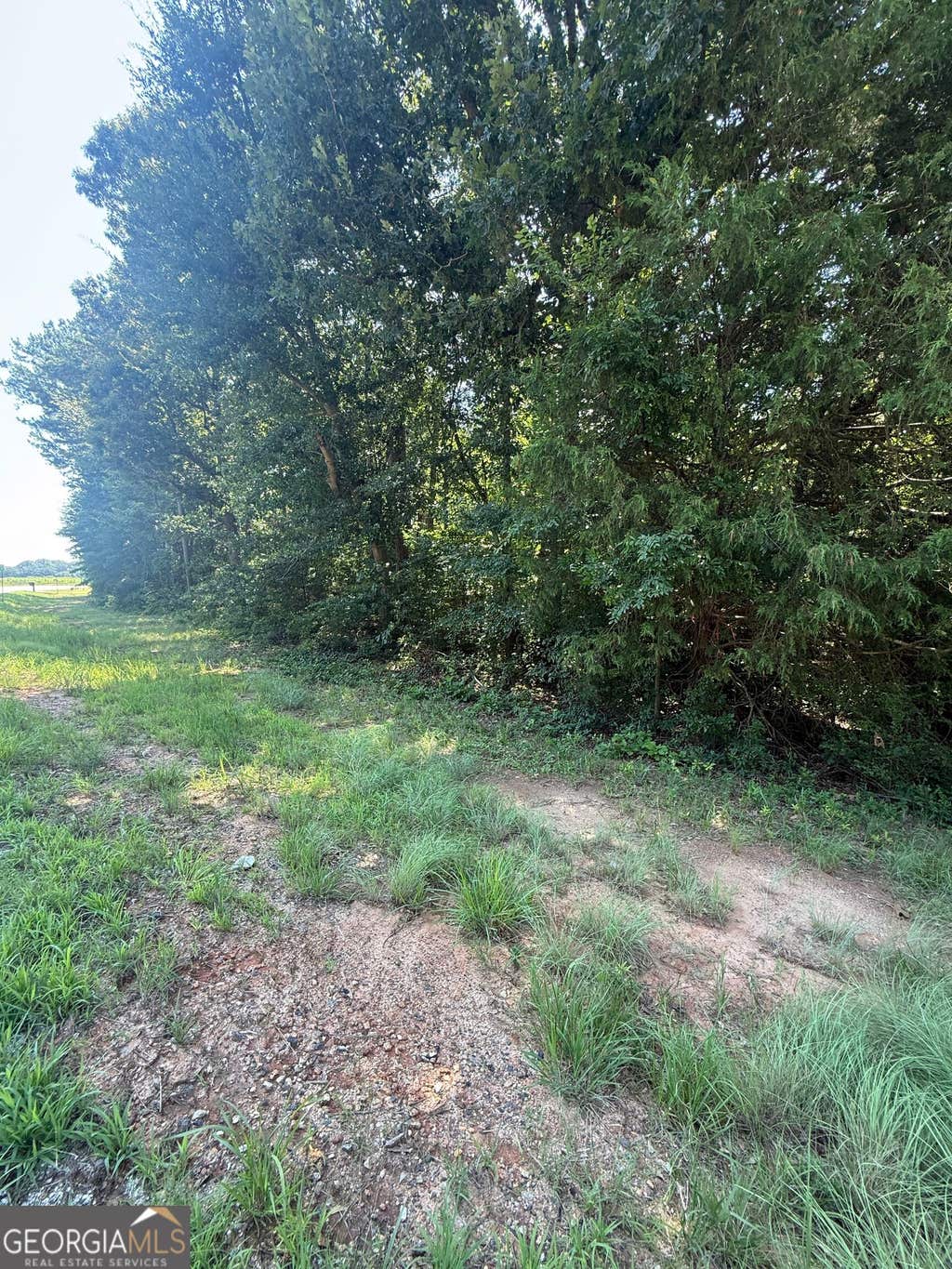 Photo of 0 Anderson HWY, Elberton, GA 30635 (MLS # 10827446)