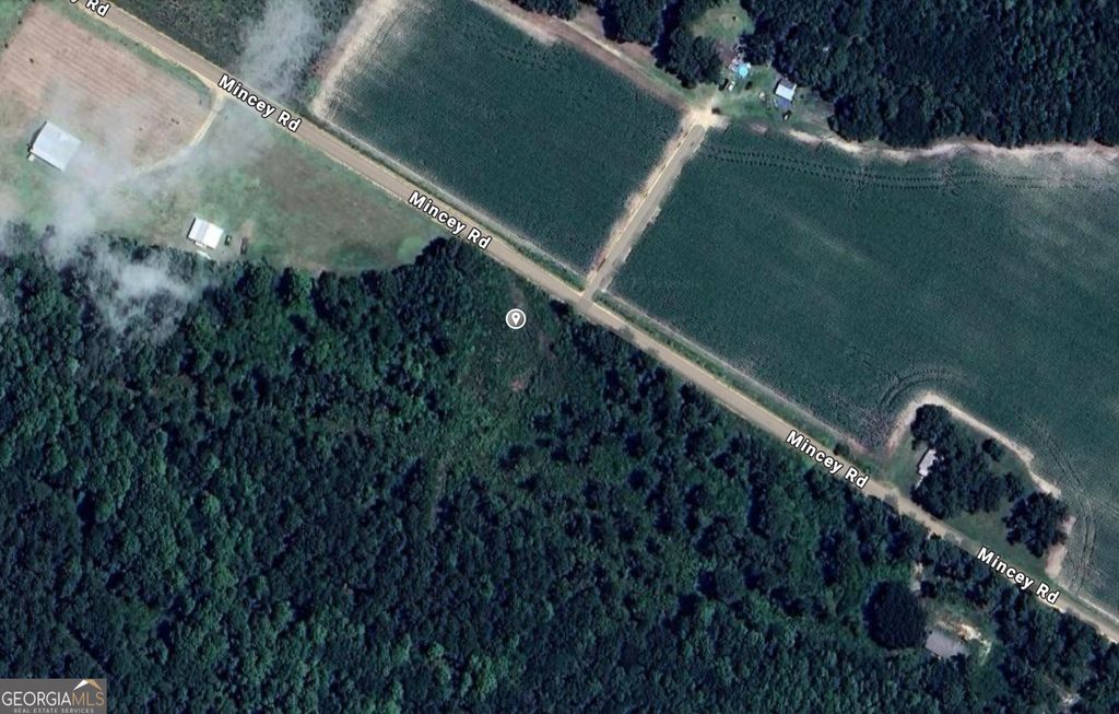 Photo of 0 Mincey Rd, Brooklet, GA 30415 (MLS # 10654361)