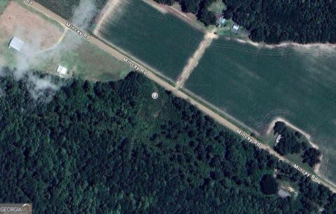 Photo of 0 Mincey Rd, Brooklet, GA 30415 (MLS # 10654361)