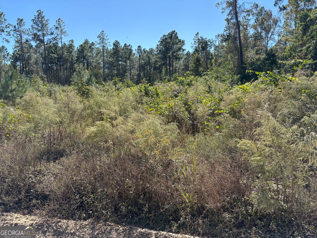 Photo of 0 Mincey Rd, Brooklet, GA 30415 (MLS # 10654361)