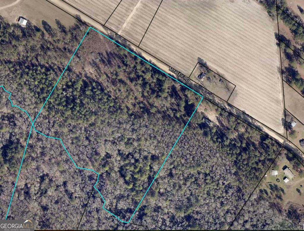 Photo of 0 Mincey Rd, Brooklet, GA 30415 (MLS # 10654361)