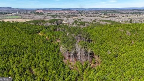Photo of 0 Highway 100, Summerville, GA 30747 (MLS # 10699431)