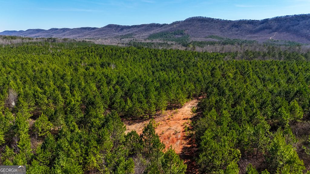 Photo of 0 Highway 100, Summerville, GA 30747 (MLS # 10699431)