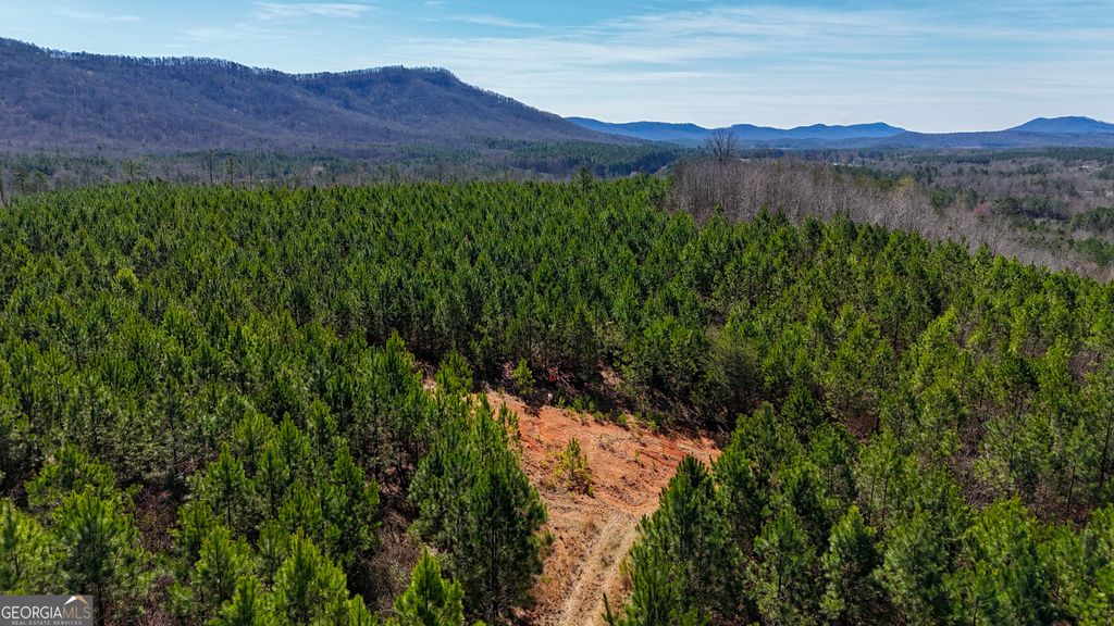 Photo of 0 Highway 100, Summerville, GA 30747 (MLS # 10699431)