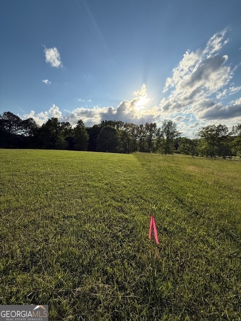 LOT 2 SOUTH OF 1585 Redwine RD LOT 2 SOUTH OF 1585