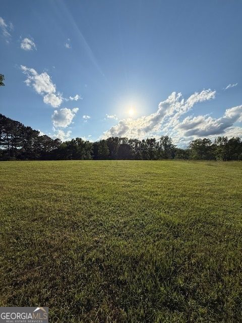 LOT 2 SOUTH OF 1585 Redwine RD LOT 2 SOUTH OF 1585 Fayetteville GA 30215