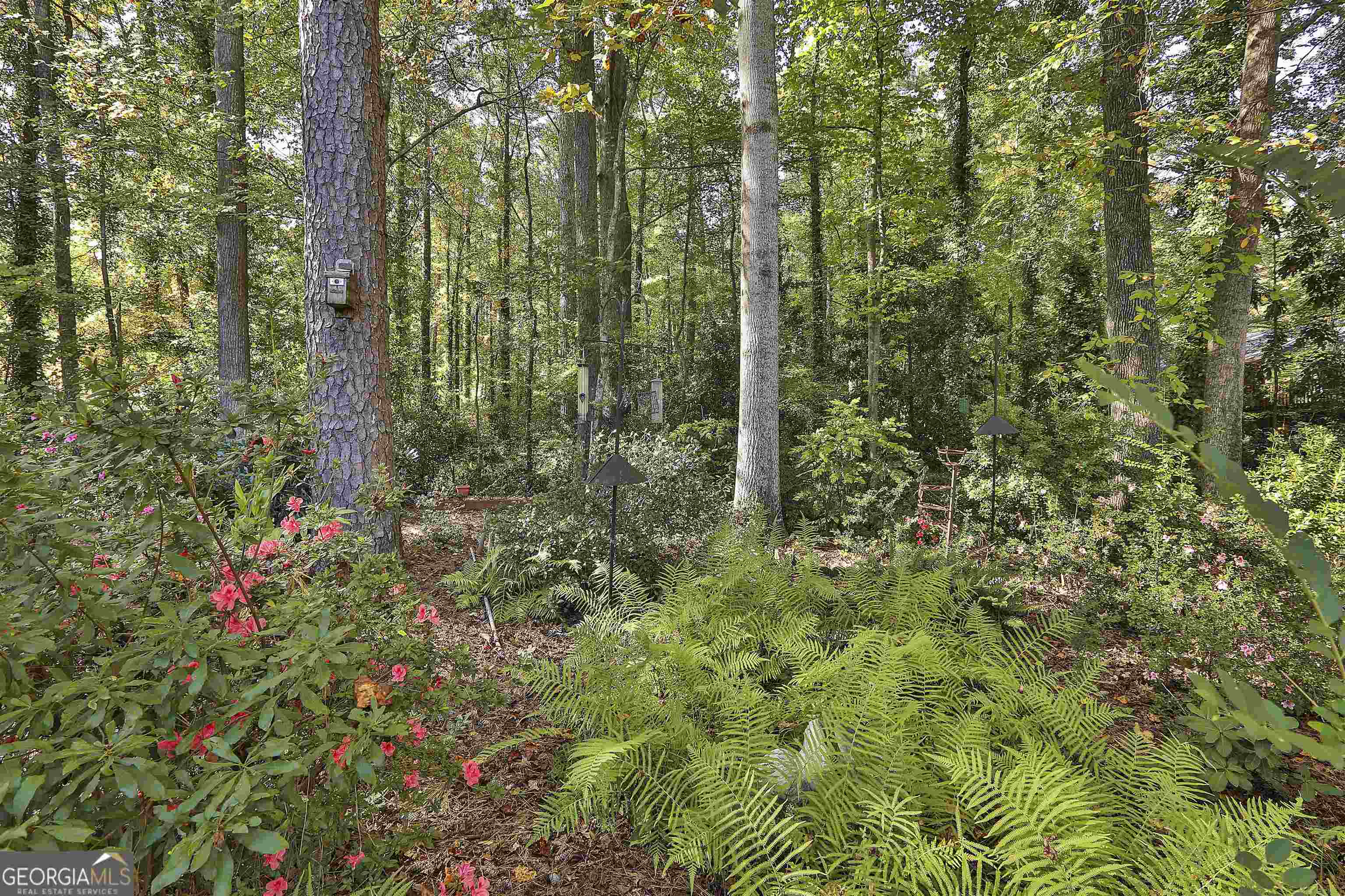 Dover Square - Residential