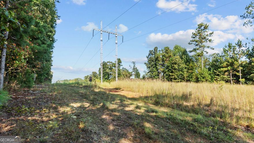 80 Acres - Development Opportunity    Assemblage of 80 acres of residential and wooded land located off Mailier Rd and US-19/41, minutes from I-75. Positioned on the Spalding/Henry County line with frontage on both Mailer Rd and Steele Rd. Property backs up to Henderson Farms with solid topography and no wetlands. Suitable for data center, industrial, or residential development.  Assemblage of 2987 Steele Rd, 784 Mailier Road, 2923 Steele Rd and 2903 Steele Rd.    Highlights:    80-acre wooded assemblage with 3 homes on property    Road frontage on Mailier Rd & Steele Rd    Spalding/Henry County border    Minutes to I-75 & US-19/41    No wetlands / strong topography    Potential for residential, industrial, or data center use