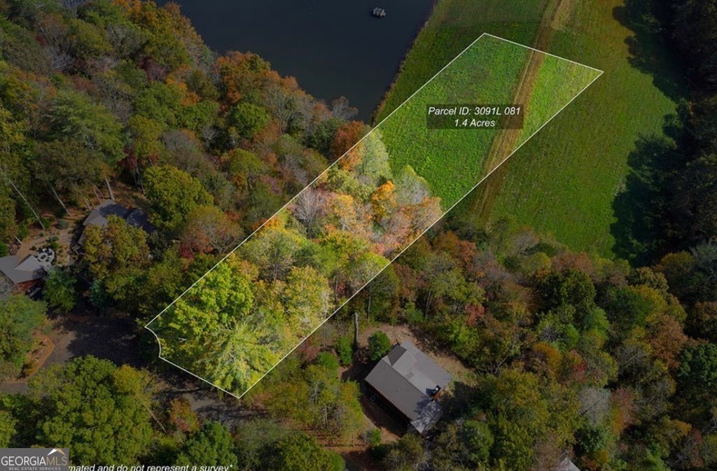 Photo of 81 Lillie Drive, Ellijay, GA 30540 (MLS # 10817394)
