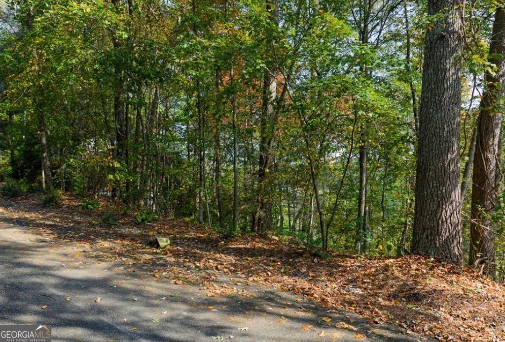 Photo of 81 Lillie Drive, Ellijay, GA 30540 (MLS # 10817394)