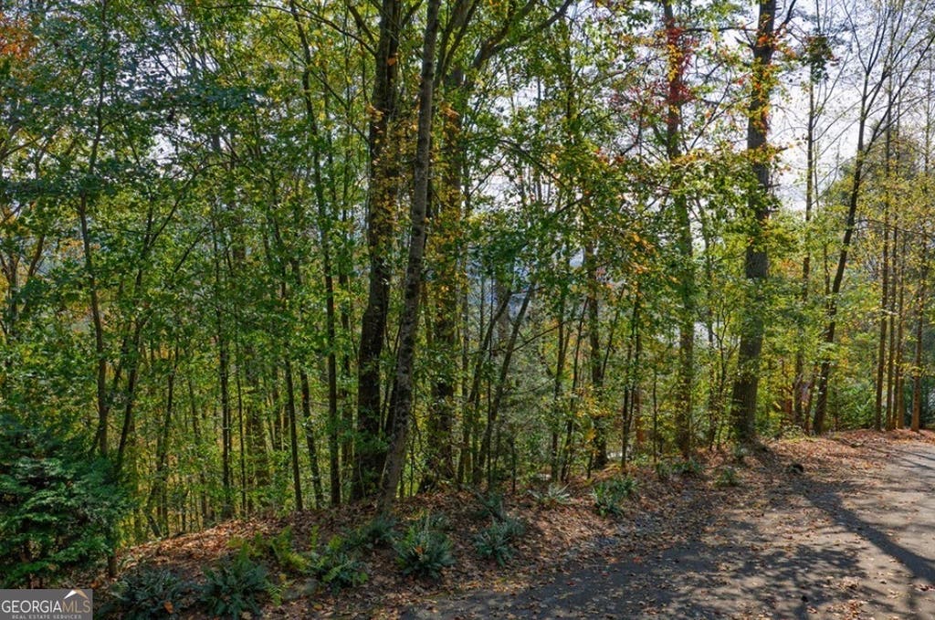 Photo of 81 Lillie Drive, Ellijay, GA 30540 (MLS # 10817394)