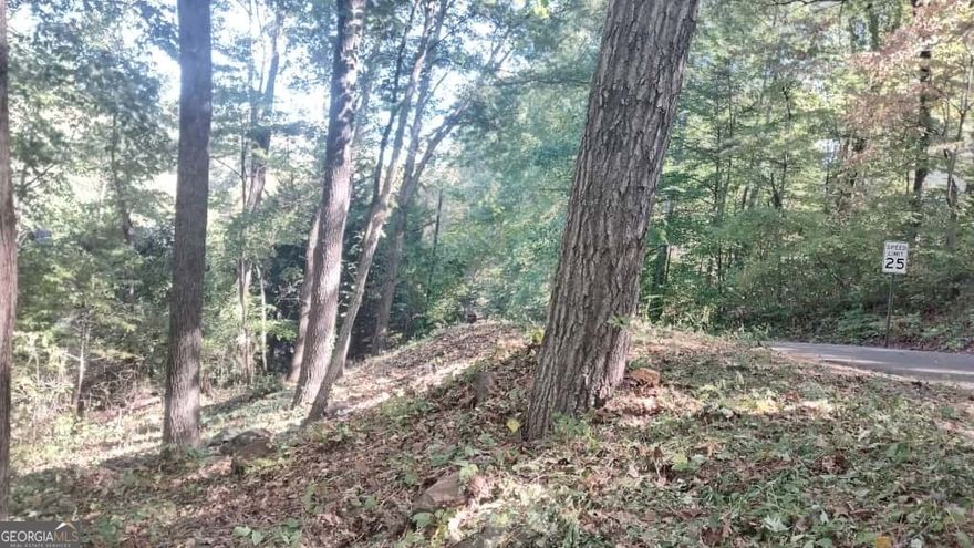 Come explore one of the few remaining vacant lots in this peaceful, friendly neighborhood. The property features a tranquil creek at the back, offering a serene natural setting. Located in a great school district, it is less than 15 minutes from Marietta Square, with easy access to shopping, dining, and public transportation. Bring your builders and create an incredible home! Please note that the public record acreage is believed to be inaccurate. A full topographical survey can be provided. The adjacent lot is also available and can be sold together or separately. If both lots are purchased together, the seller might consider reducing the price if the lots are purchased together. Combined, both lots total approximately 1 acre. The seller prefers to sell both lots together but will consider all offers. For more details, please refer to GAMLS 10488270