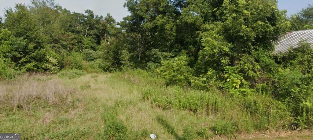 Photo of 72 Henry Way, Hawkinsville, GA 31036 (MLS # 10694979)