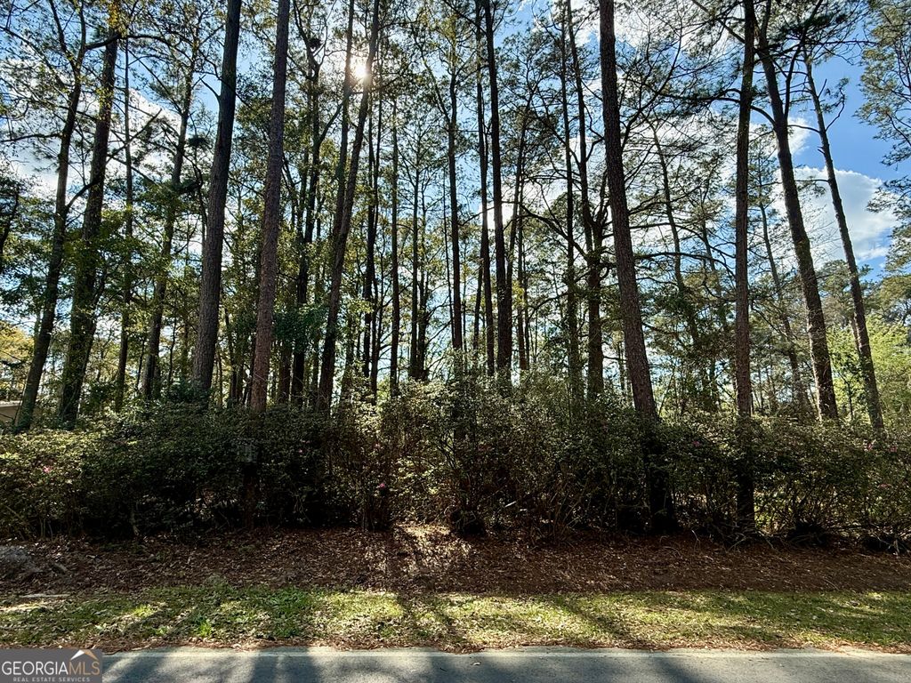 Photo of 0 N Columbia Avenue, Rincon, GA 31326 (MLS # 10709072)