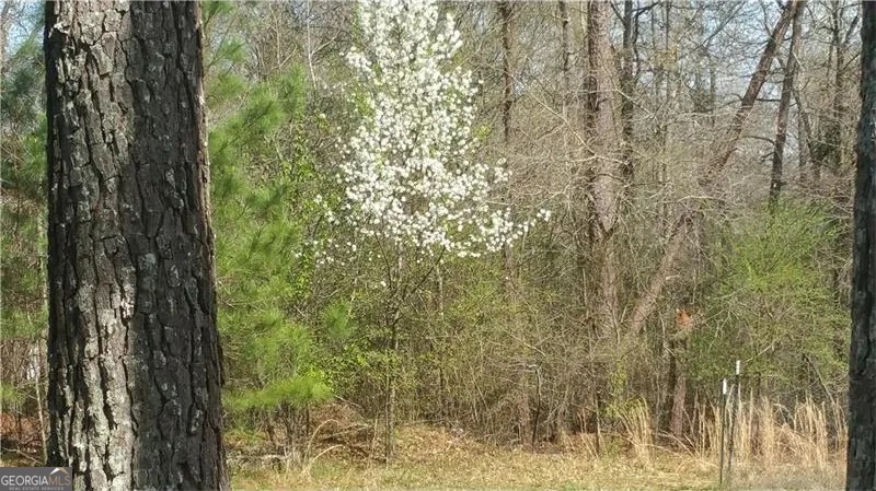 3838 McDaniel Mill RD