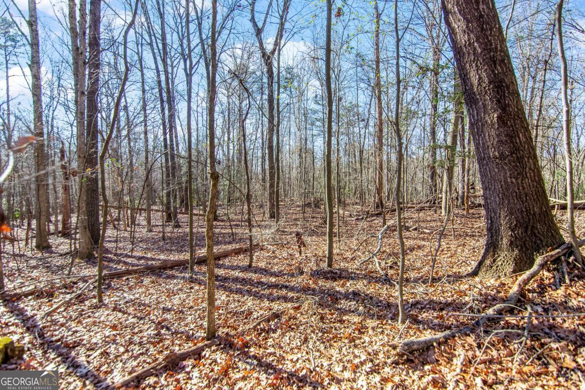 6 ACRES Flat Creek RD