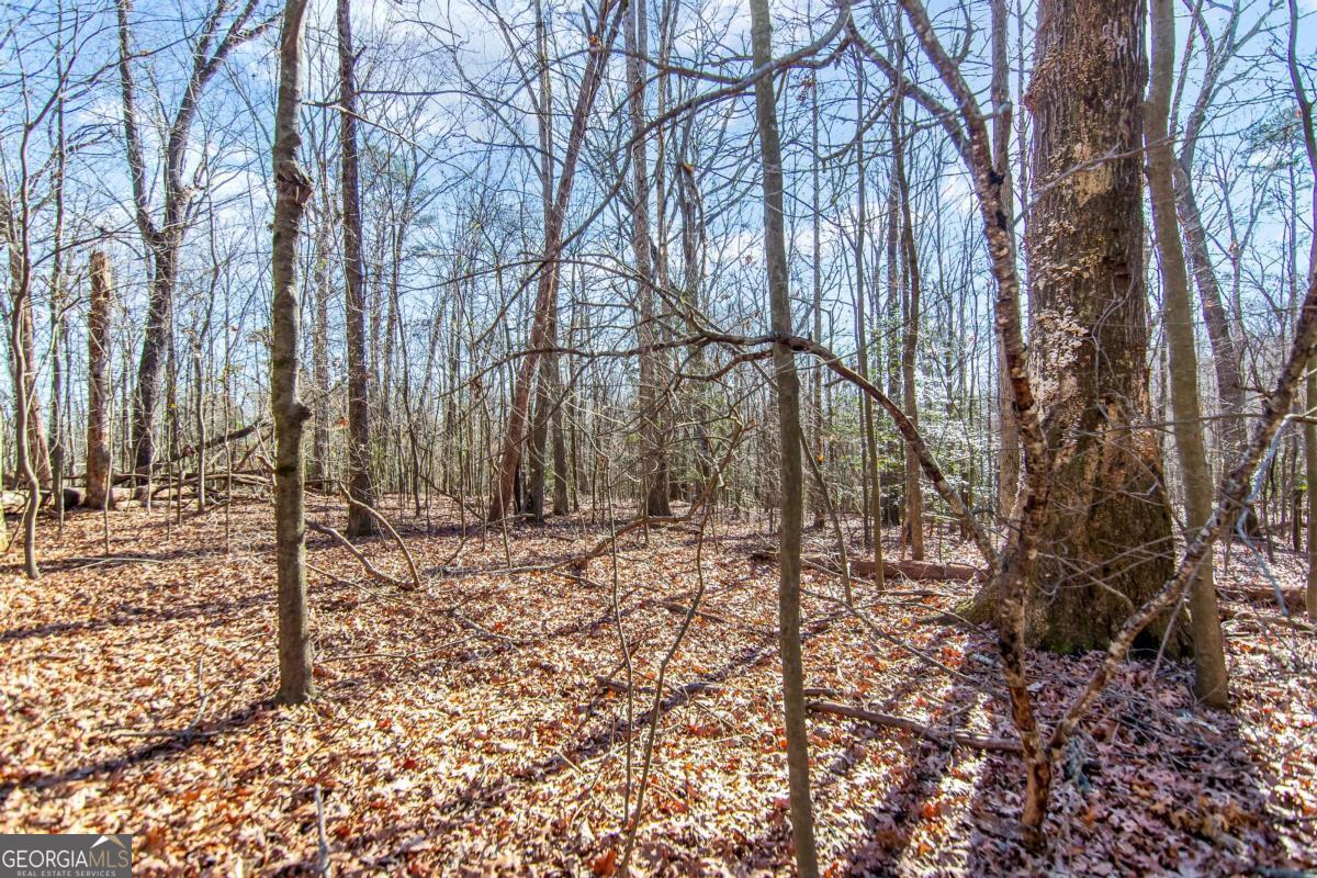 6 ACRES Flat Creek RD