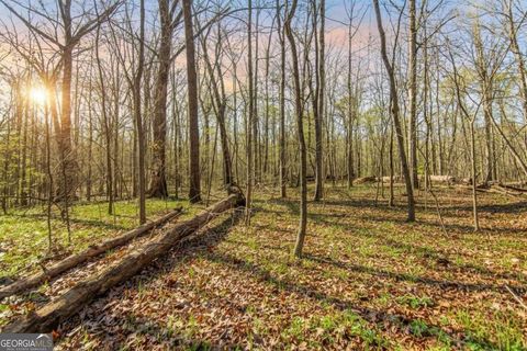 6 ACRES Flat Creek RD Ellijay GA 30540