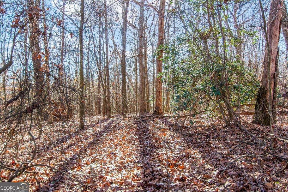 6 ACRES Flat Creek RD